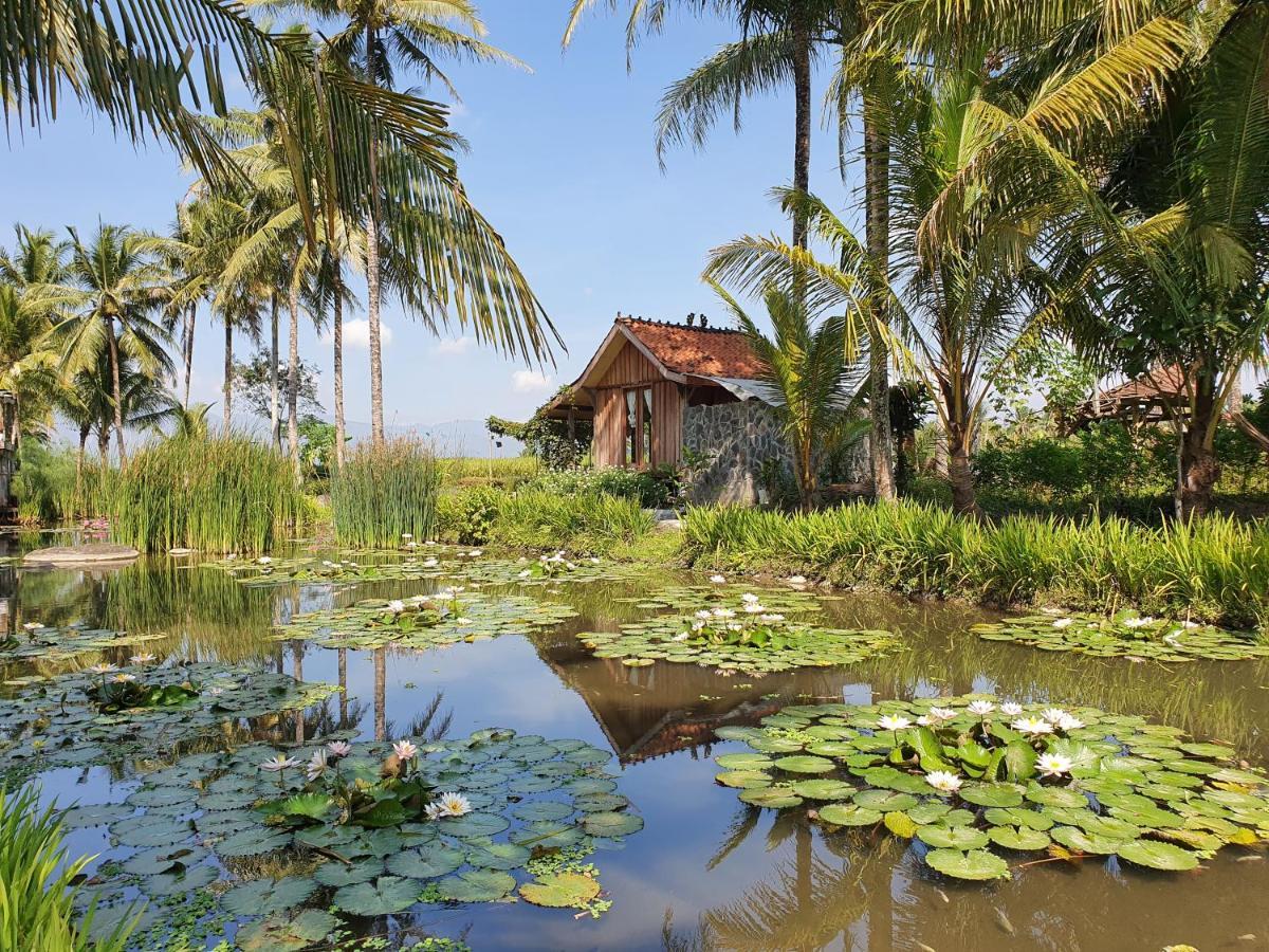 Borobudur Bed & Breakfast มาเกอลัง ภายนอก รูปภาพ