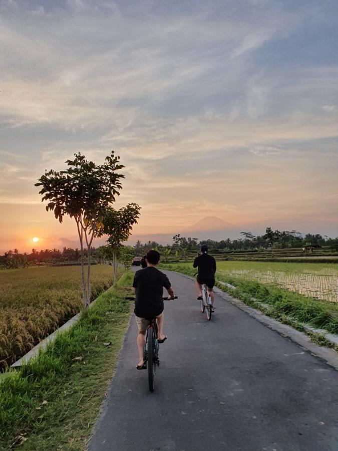 Borobudur Bed & Breakfast มาเกอลัง ภายนอก รูปภาพ