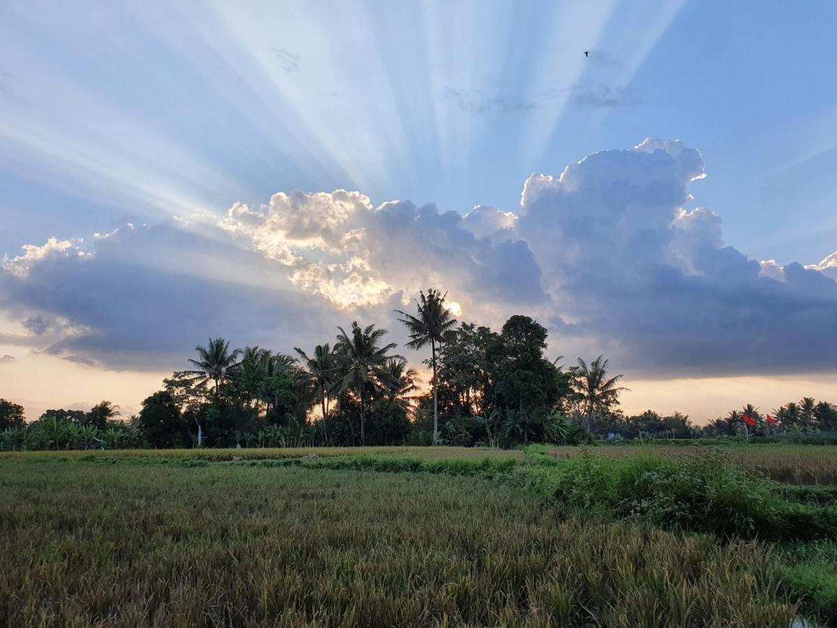 Borobudur Bed & Breakfast มาเกอลัง ภายนอก รูปภาพ